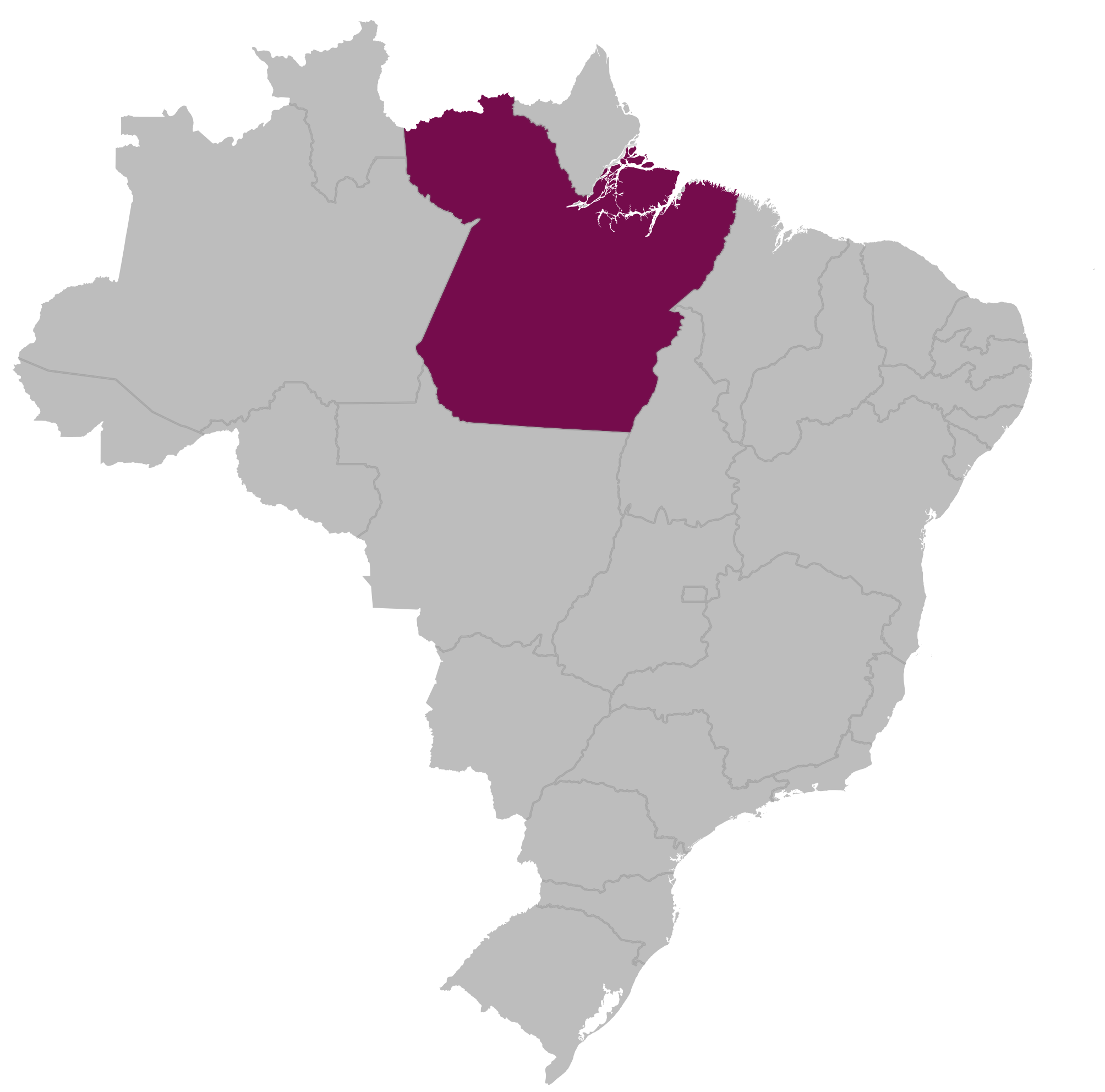 Karte von Brasilien Schritt 1