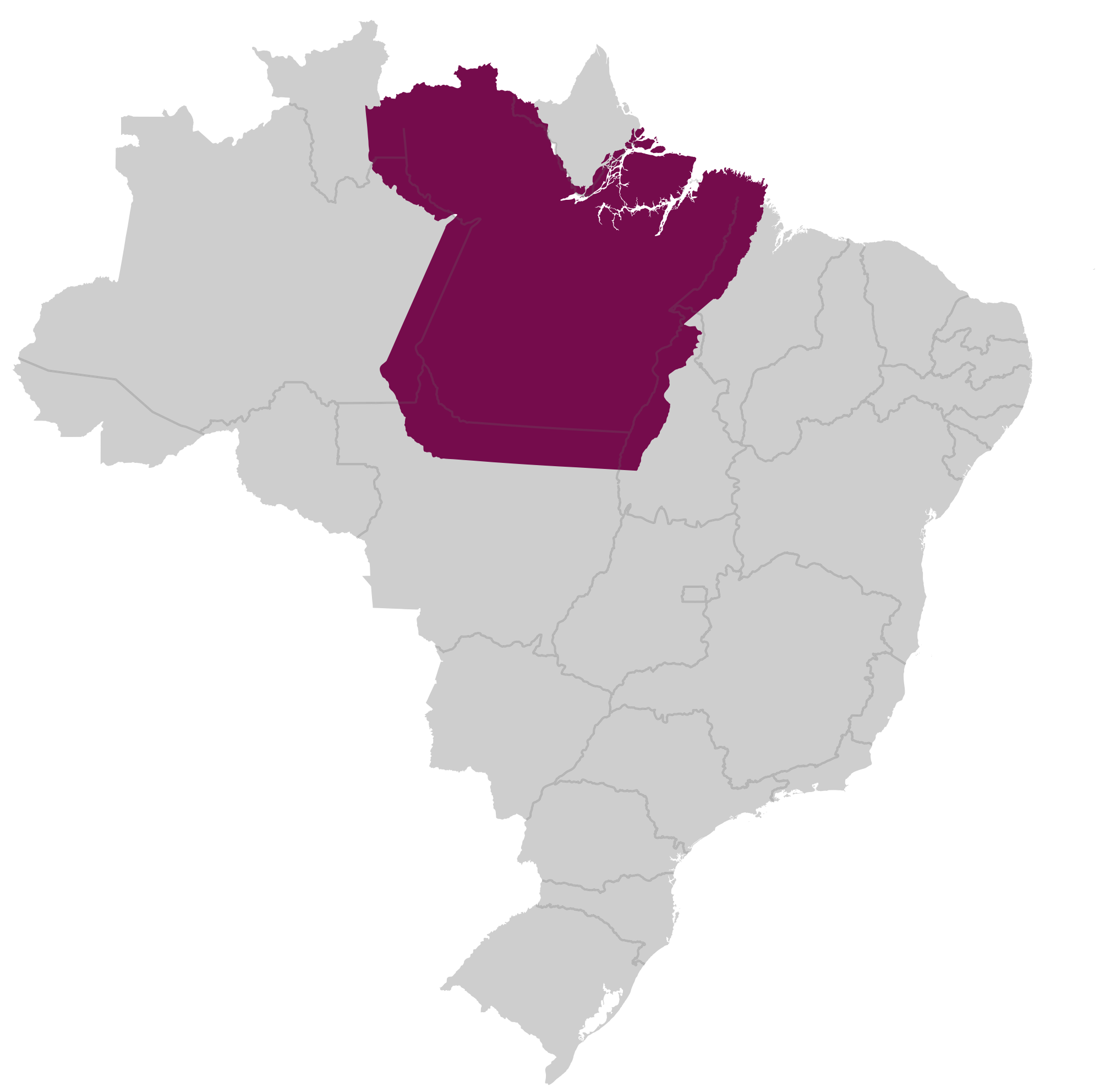 Karte von Brasilien Schritt 2